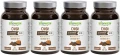 Chaga4_11zon.webp