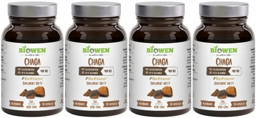 Chaga4_11zon.webp