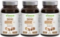 Shiitake3_11zon.webp
