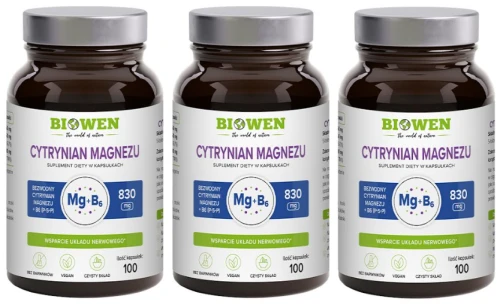 Zestaw 3x - Cytrynian magnezu 825 mg z witaminą B6 (P-5-P) 100 kapsułek