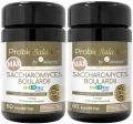 PB Saccha Max2_11zon.webp