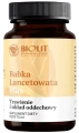 Babka lancetowata Plus, Biolit