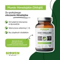 MUMIO-WWW1.webp