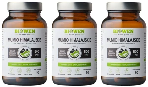 Biowen Mumio Himalajskie Shilajit 586 mg 90 Kapsułek – Wsparcie Energii i Witalności, Zestaw 3 szt.