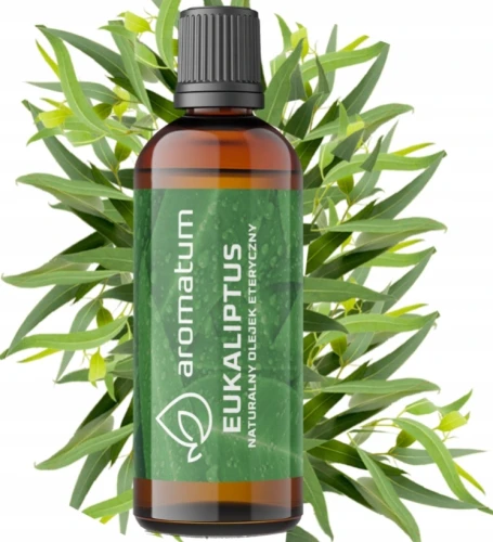 Naturalny olejek eteryczny 100 ml - eukaliptus, Aromatum