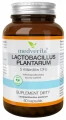 Lactobacillus plantarum 5 mld 60 kaps., Medverita (id: 8622)