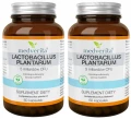 Zestaw 2x - Lactobacillus plantarum 5 mld 60 kaps., Medverita (id: 8623)