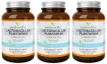 Zestaw 3x - Lactobacillus plantarum 5 mld 60 kaps., Medverita (id: 8624)