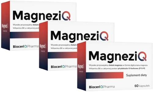 magneziq3_11zon.webp