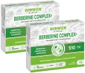 blistry berberyna2_11zon.webp