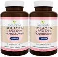 2 x Kolagen + Dzika Róża + Kadzidłowiec + MSM 100 kaps, Medverita (id: 7103)