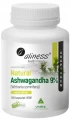 Aliness Ashwagandha 555 mg 9% 100 Kapsułek Vege – Zmniejszenie stresu Energia Sen i Regeneracja (id: 5373)