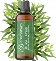 Naturalny olejek eteryczny 100 ml - eukaliptus, Aromatum