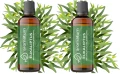Aromatum Naturalny Olejek Eteryczny Eukaliptus 2x 100 ml – Odświeżenie i Aromaterapia Zestaw (id: 9113)
