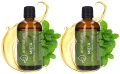 Aromatum Olejek Eteryczny Miętowy 2x 100 ml – Do Kominków Zapachowych i Nawilżaczy Zestaw (id: 9115)
