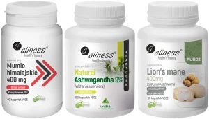 Aliness Zestaw na Pamięć i Koncentrację - Mumio + Ashwagandha + Soplówka jeżowata