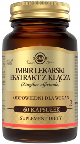 Imbir Lekarski Ekstrakt z Kłącza 60 kapsułek VEGE Naczynia krwionośne Serce Odporność (id: 9133)