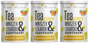 3 x Polski Mniszek Herbata z Mniszka lekarskiego z Adaptogenami – Miłorząb japoński 20 saszetek - Wątroba Jelita