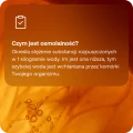 PHPomarancza2_1.webp