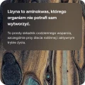 BICAPSLysine1_1.webp