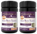 2 x Aliness ProbioBALANCE Inner Biome System Balance MAX 10mld 60 kapsułek VEGE - Układ Pokarmowy Odporność Probiotyk (id: 9417)