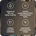 BICAPSLysine5_1.webp