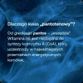 Kartaproduktu-BicapsB5_1.jpg