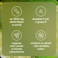 PHCytrynaiLimonka5_1.jpg