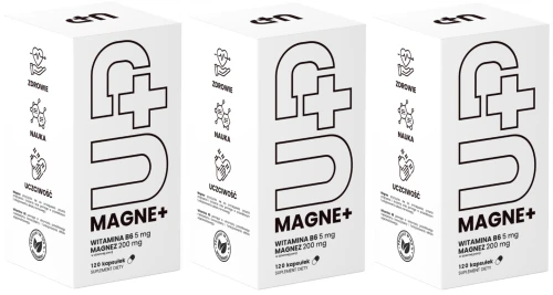 3 x UP Health Pharma UP MAGNE+ 60 kapsułek – Magnez Mięśnie Układ Nerwowy (id: 9449)