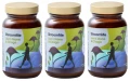3 x Health Labs Care ShroomMe Lion's Mane &amp; Chaga Men 90 porcji (id: 9617)