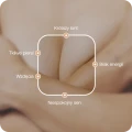 3.webp