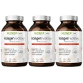 3 x Biowen Kolagen Wołowy Typu I, II, III proszek 225g - Stawy Chrząstki Kości (id: 8088)