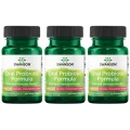 3 x Swanson Oral Probiotic Formula - Streptococcus salivarius BLIS K12 30 tabletek do ssania MIKROBIOM  (id: 9871)