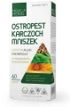 ostropest aukcja.png