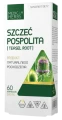 szczeć_pospolita-removebg-preview.png
