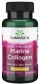 AnyConv.com__marine collagen.webp