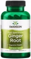 AnyConv.com__ginger root.webp