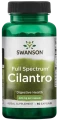 FS Cilantro - Kolendra siewna 60 kaps, Swanson