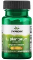 L. Plantarum 30 kaps., Swanson