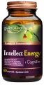 Intellect Energy, Doctor Life