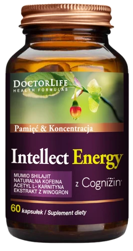 Intellect Energy, Doctor Life