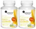 Zestaw 2x Cytrynian Magnezu 125 mg z B6 (P-5-P) 100 kaps VEGE Aliness