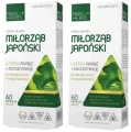Zestaw 2x Miłorząb japoński, Medica Herbs