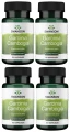 Zestaw 4x Garcinia Cambogia extract 80mg 60kaps, Swanson