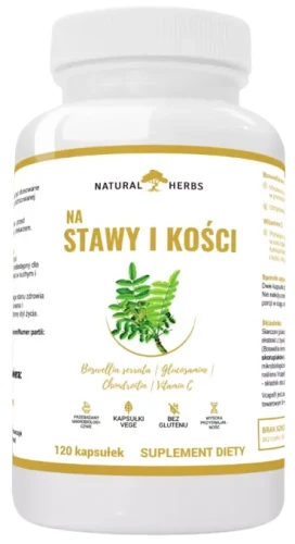 Na Stawy Kadzidłowiec Complex 500mg 120 kapsułek, AltoPharma