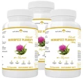 Zestaw 3x Ostropest Plamisty Ekstrakt 80% Sylimaryny 120 kapsułek, AltoPharma