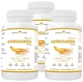 Zestaw 3x Ashwagandha Ekstrakt 500mg 9% WITANOLIDÓW Żeń Szeń Indyjski 120 kapsułek, AltoPharma