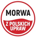 Morwa - z Polskich upraw