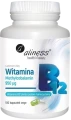 Witamina B12.png