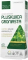 Pluskwica groniasta, Medica Herbs